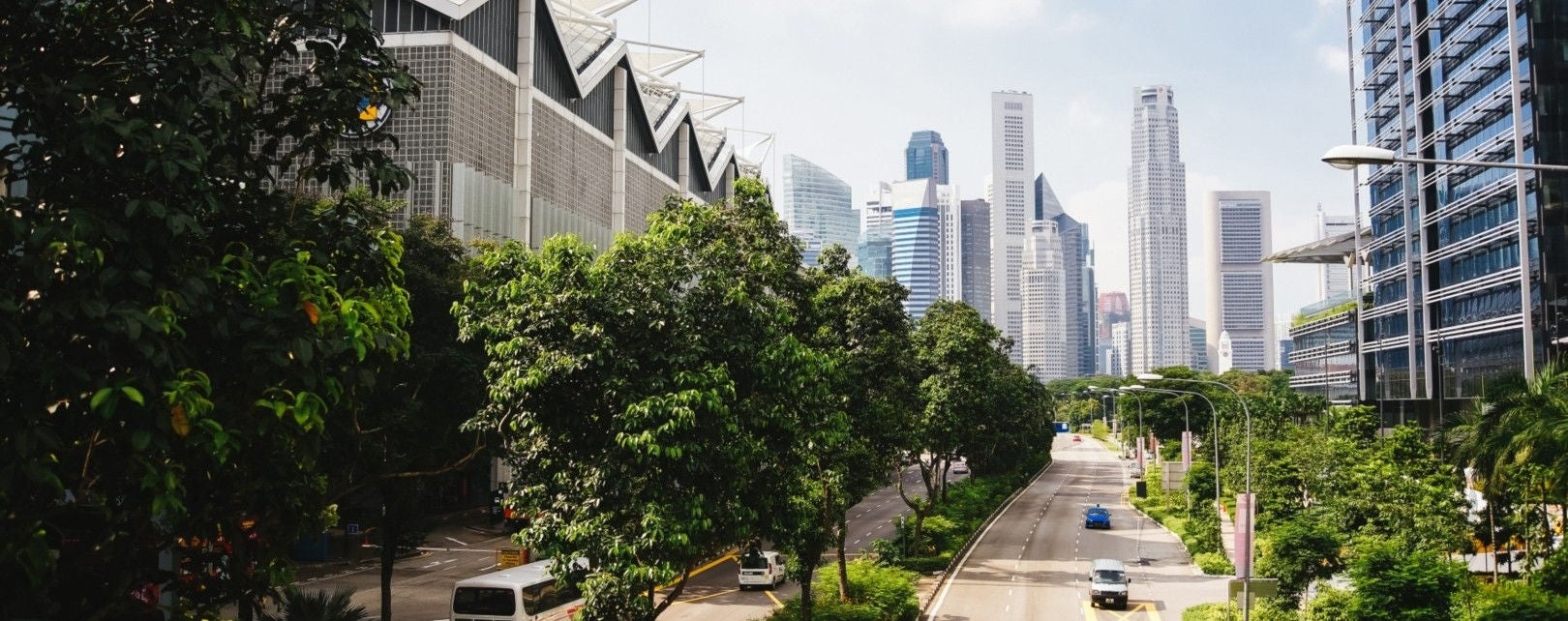 woman looking at office buildings