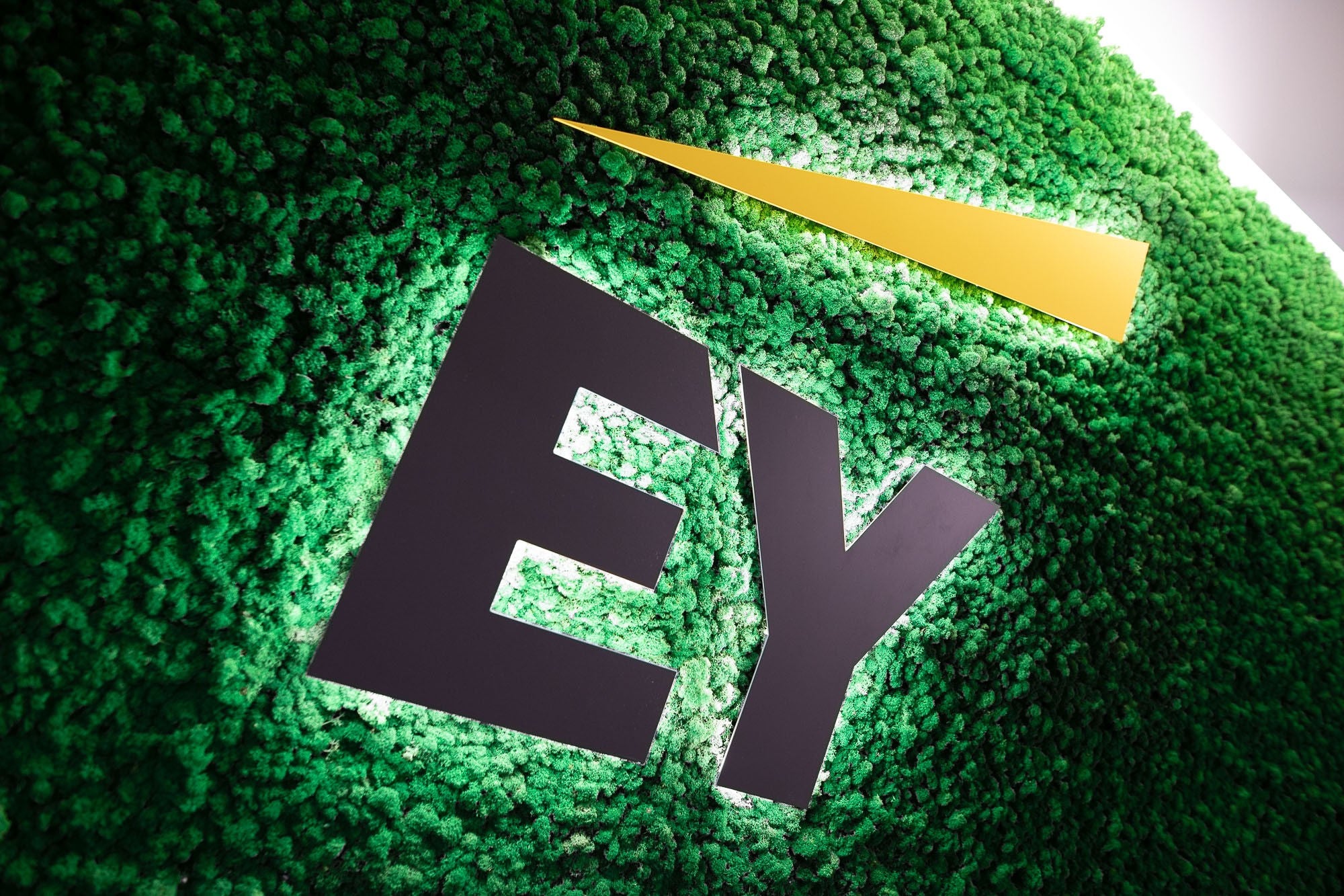 ey-kep-logo